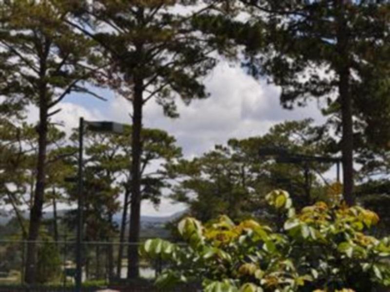 Thanh Loan 3 Hotel Dalat Bagian luar foto